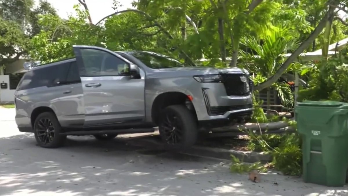 2 in custody after Coral Gables stolen car suspects bail out in Coconut ...