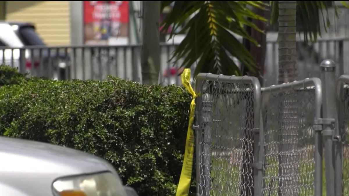 Police investigating after man shot and killed in Hallandale Beach ...