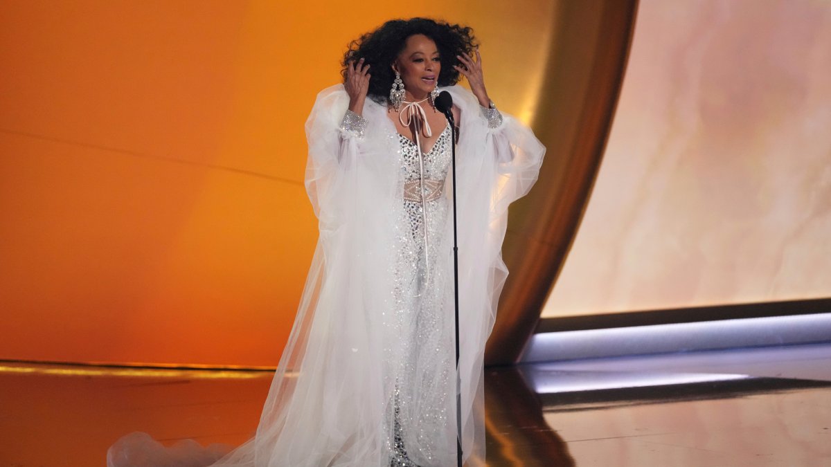 Diana Ross cancels cruise ship appearance due to 'unforeseen circumstances' Diana Ross cancels cruise ship appearance due to 'unforeseen circumstances'