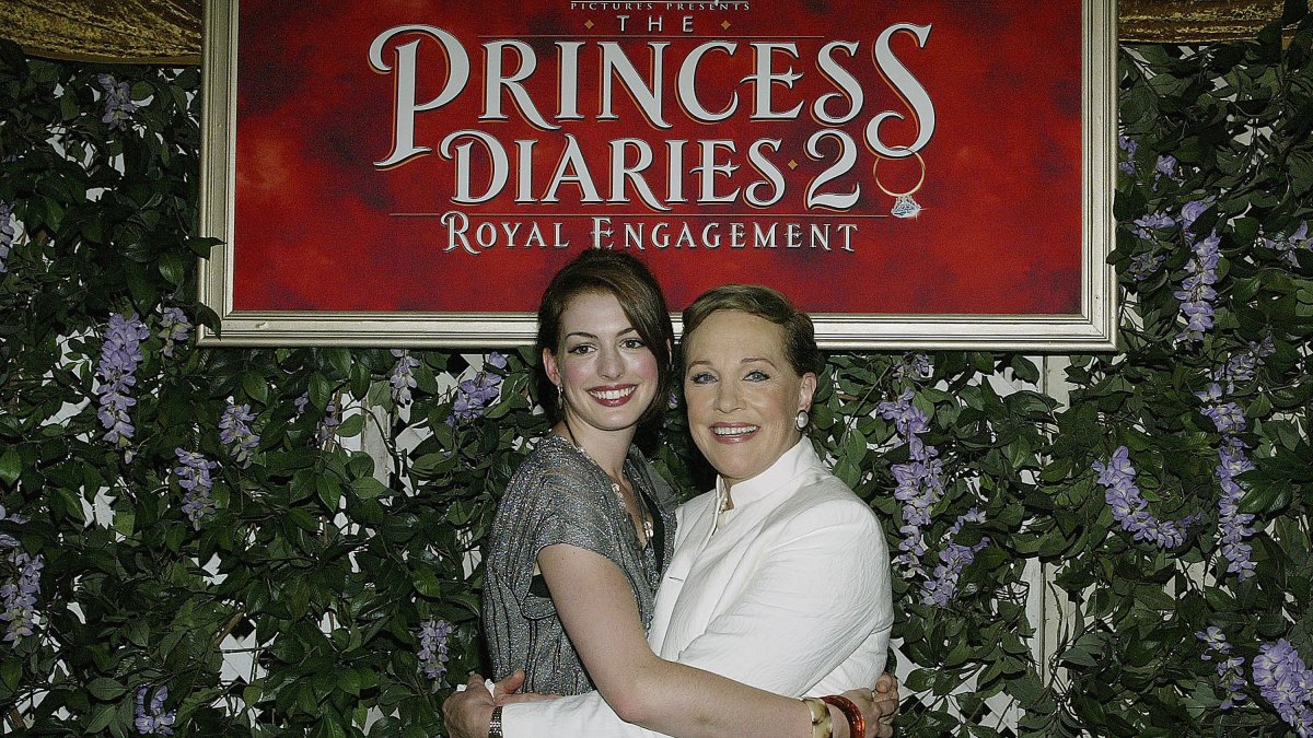Catching up with Anne Hathaway and the cast of 'The Princess Diaries' Catching up with Anne Hathaway and the cast of 'The Princess Diaries'