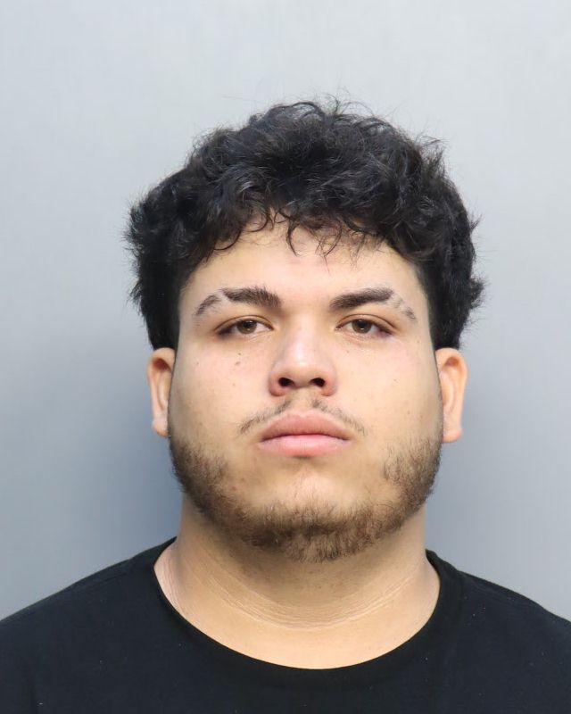 Dashcam shows 19-year-old's arrest after pursuit on Palmetto – NBC