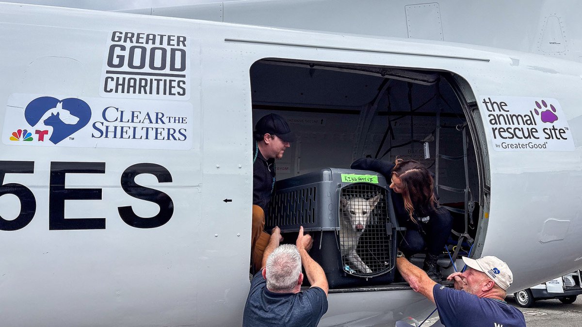 Clear The Shelters conducts life-saving airlift for over 120 at-risk shelter pets