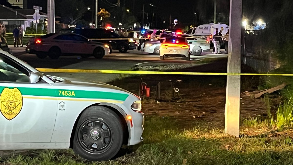 Suspect threatened people with gun before he was shot and killed by ...