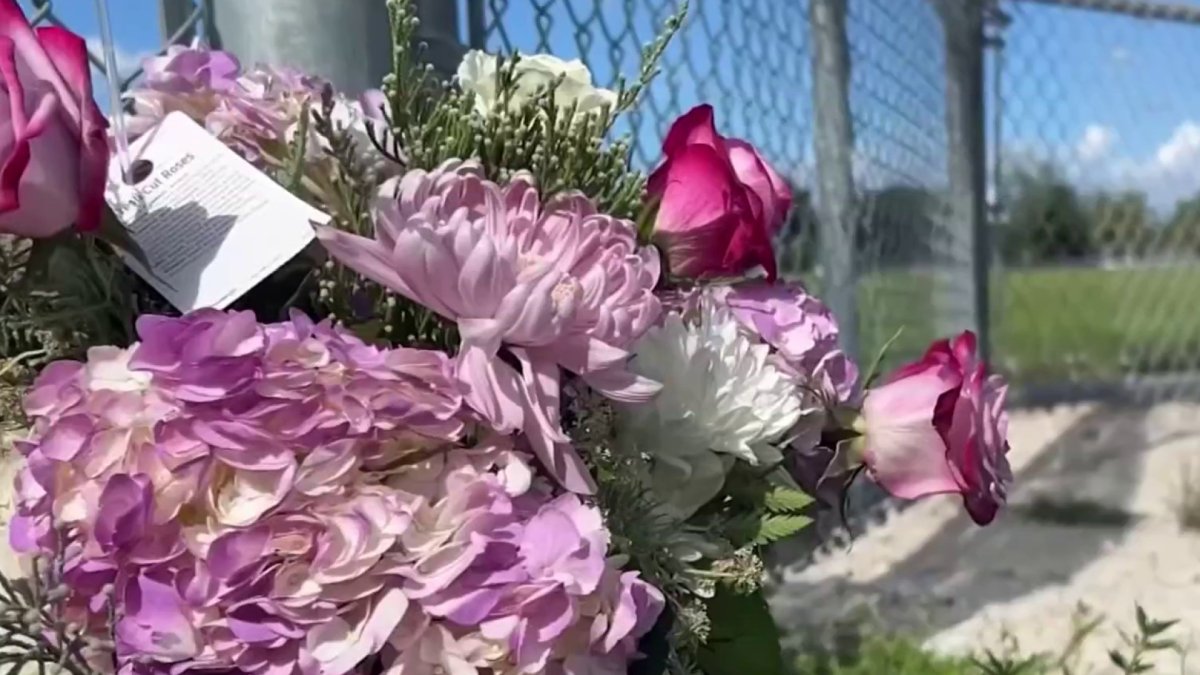 Still no answers after woman killed in dog attack in Miami Gardens ...