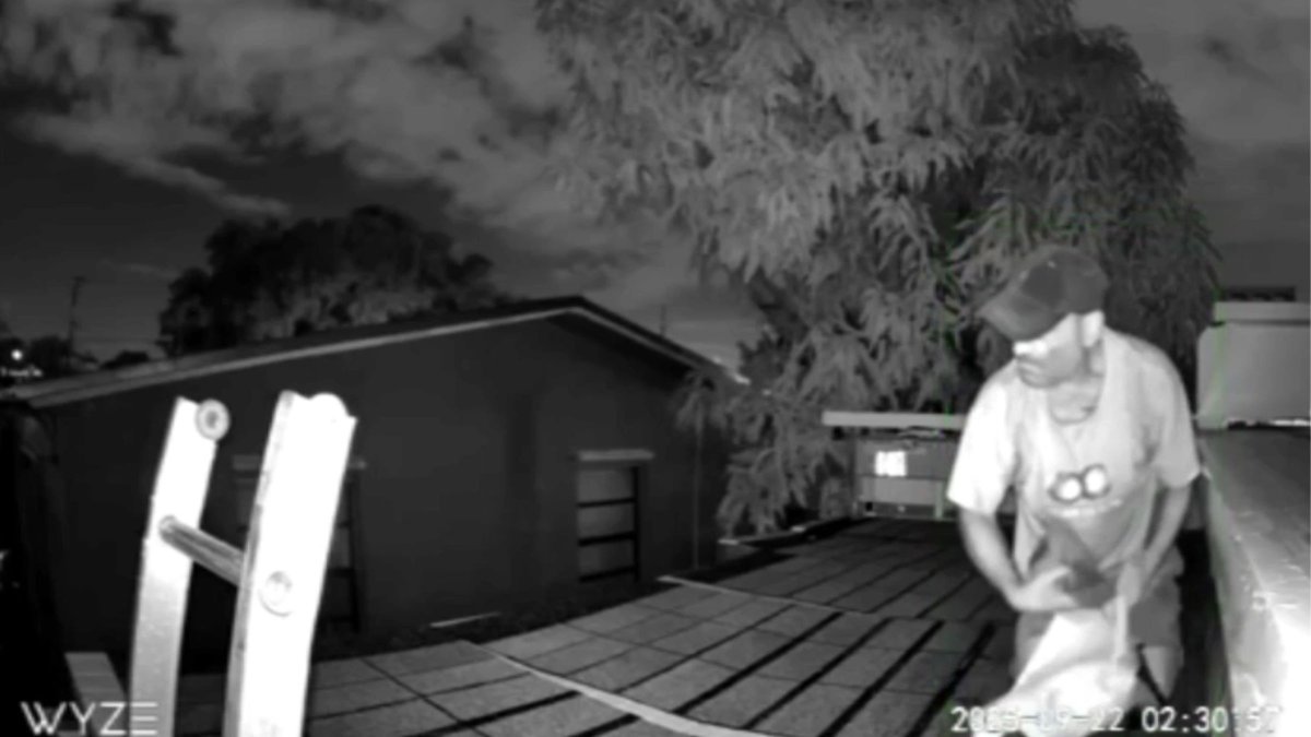 Man caught on camera allegedly stealing pigeons from Hialeah home ...