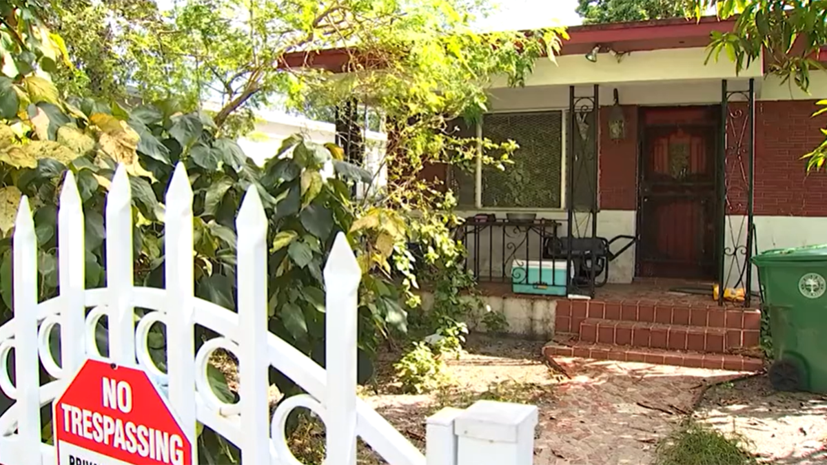 Man killed after being attacked by dogs in Miami – NBC 6 South Florida