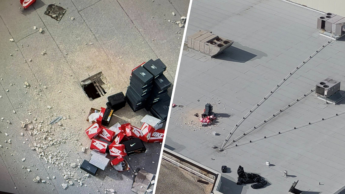 Trio arrested in pricey sneaker heists at multiple malls in Florida, Georgia