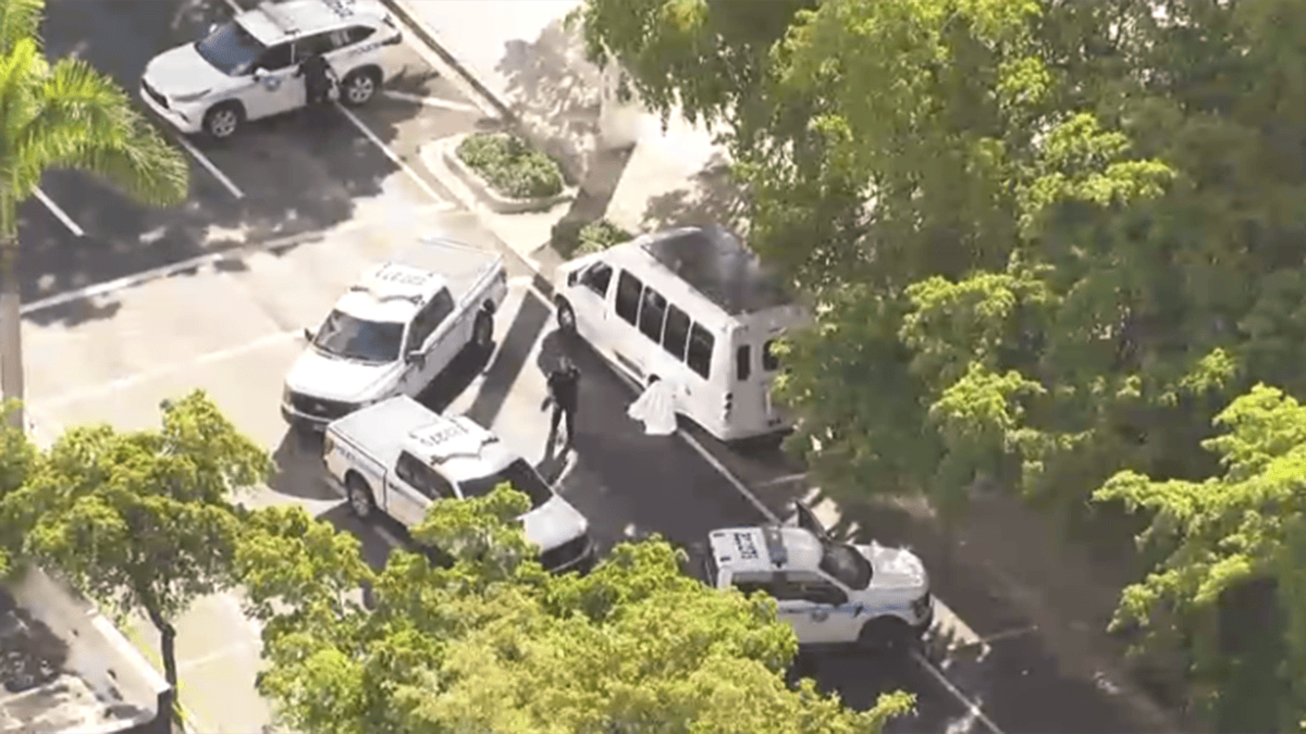 Man dies after being pinned by vehicle in Miami neighborhood: Police ...