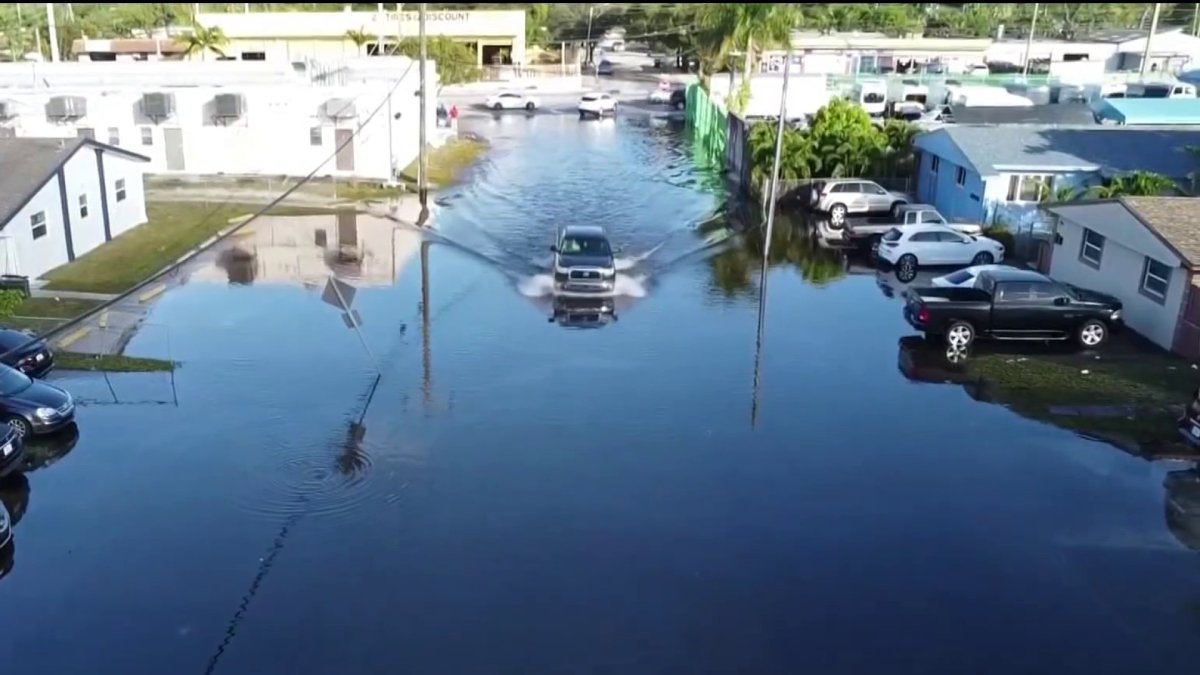 New laws take effect in Florida on Oct. 1 – NBC 6 South Florida