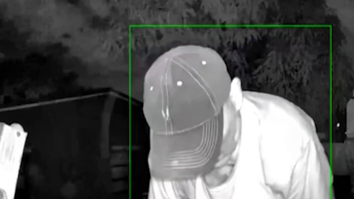 Man caught on camera allegedly stealing pigeons from Hialeah home – NBC ...