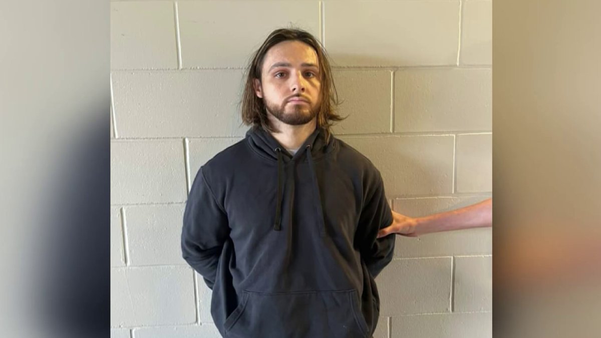 Florida man accused of starting destructive Palisades fire in ...