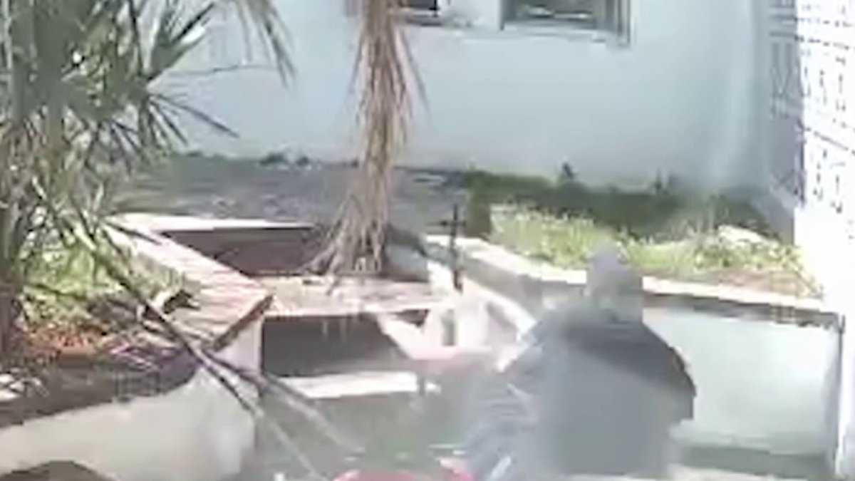 Video shows 8-year-old attacked by pit bull in Hollywood; dog’s owner ...