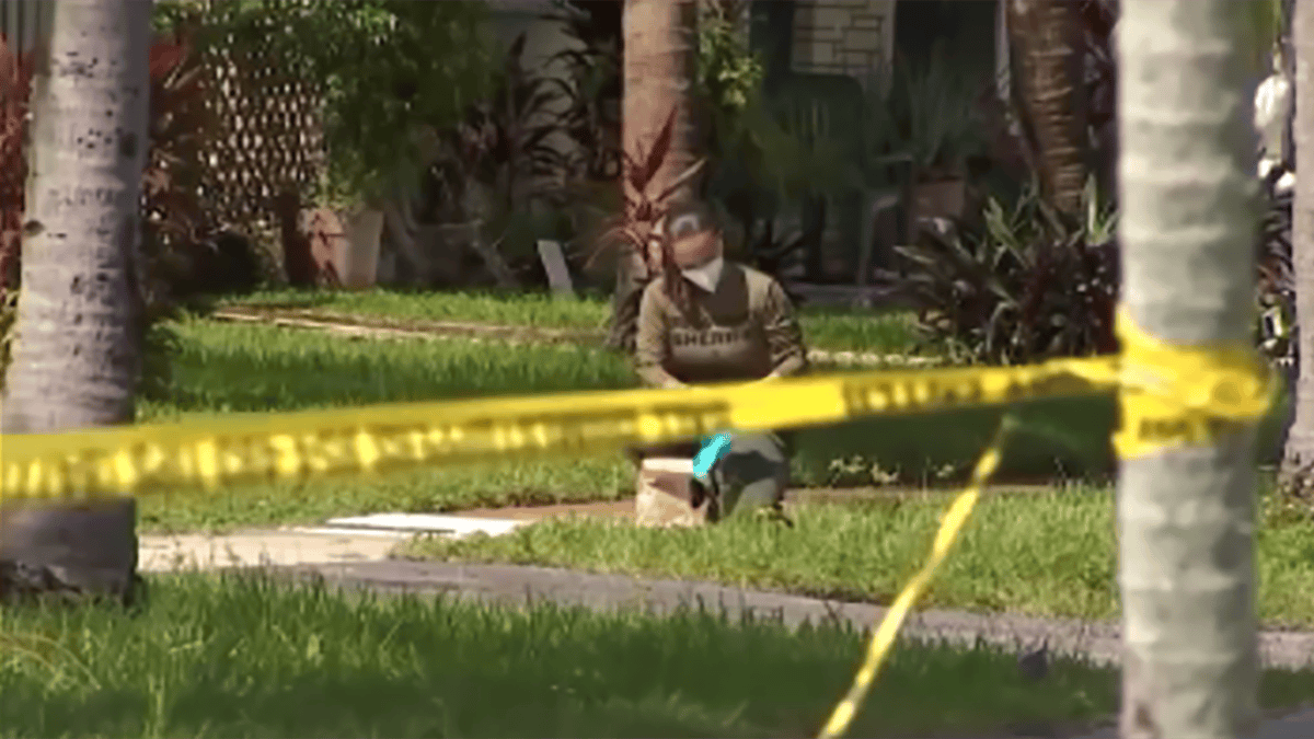 Woman recovering after being attacked by dog in Fort Lauderdale – NBC 6 ...