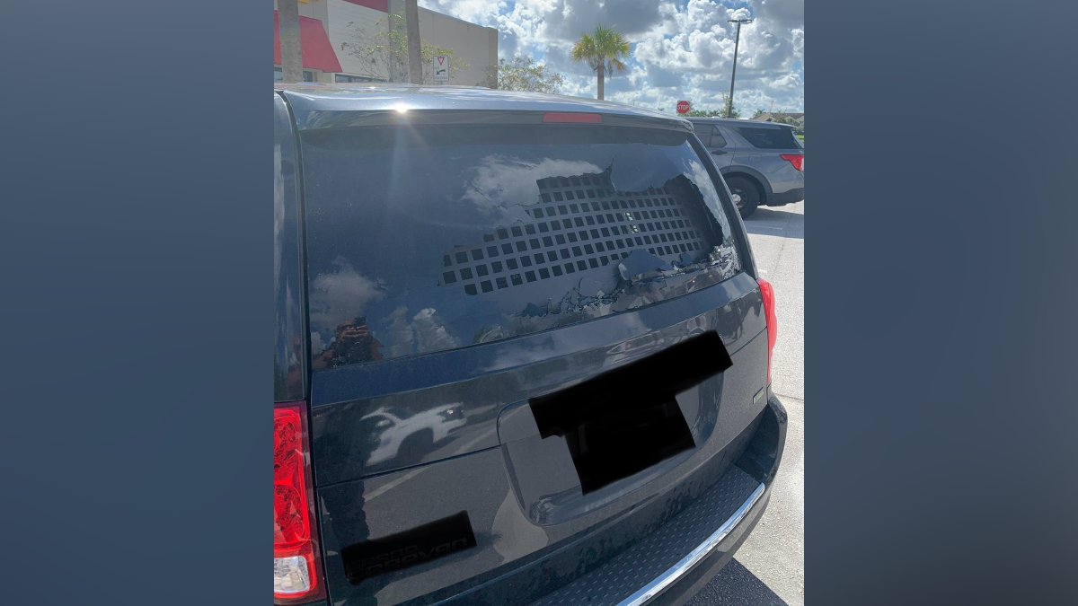 Man, 19, arrested for throwing rock at ICE vehicle after parent ...