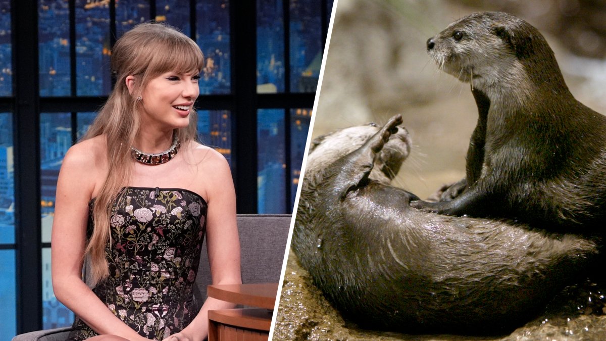 How a T-shirt worn by Taylor Swift sparked a M windfall for sea otters