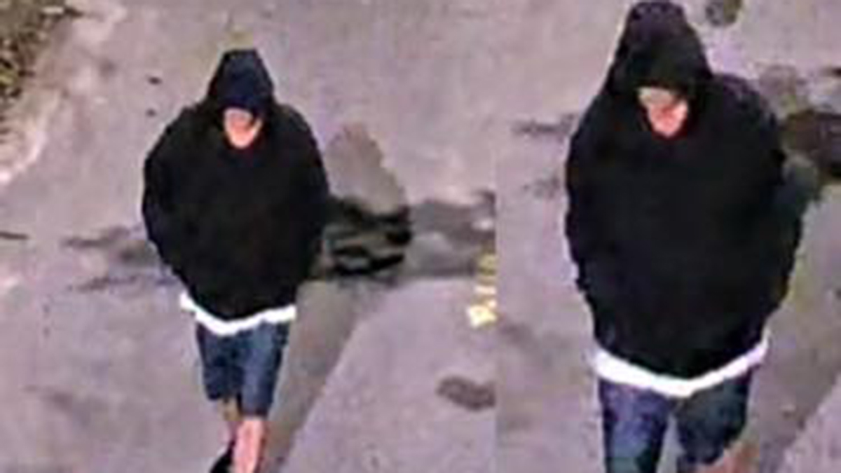 Suspect sought after woman found shot to death in Lake Worth Beach: Sheriff