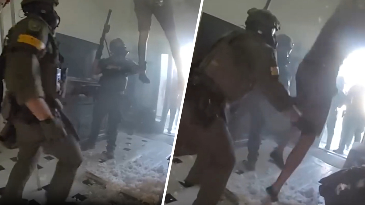 Video shows hiding suspect fall through ceiling and into arms of SWAT in Florida