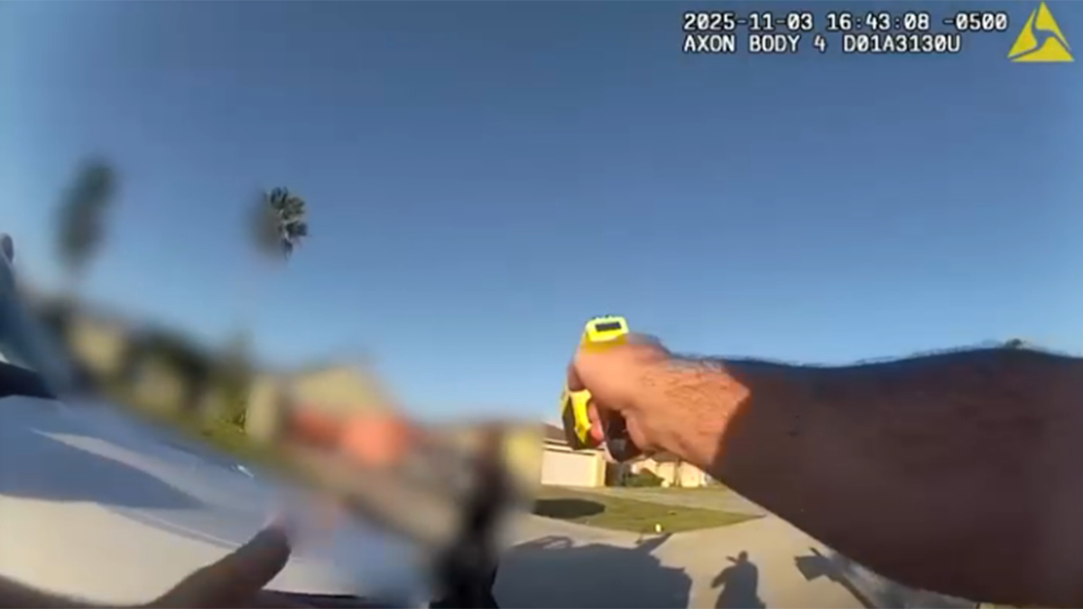 Video shows 15-year-old smashing police car with shovel in Florida