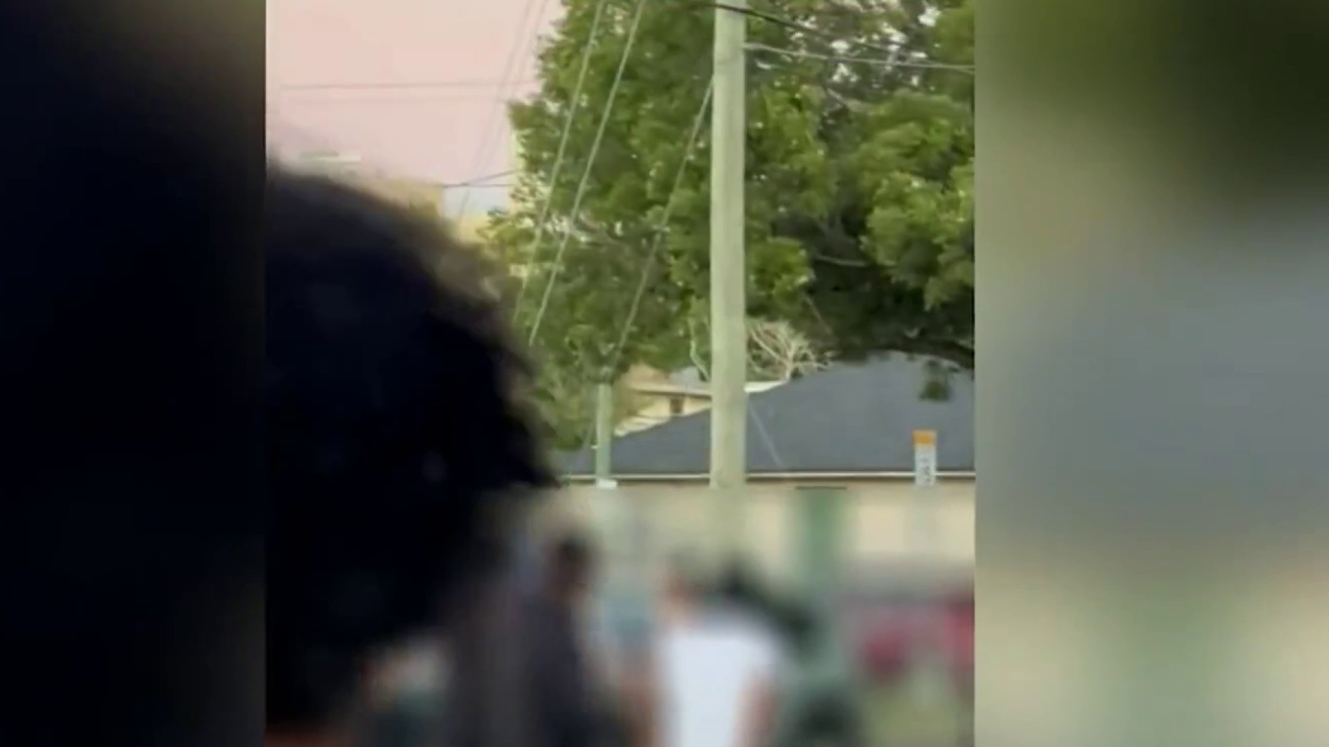 nbcmiami.com - Video shows brawl in Little Havana leading to shots being fired