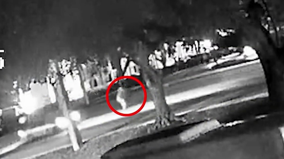 Surveillance shows hit-and-run crash in Tamarac – NBC 6 South Florida
