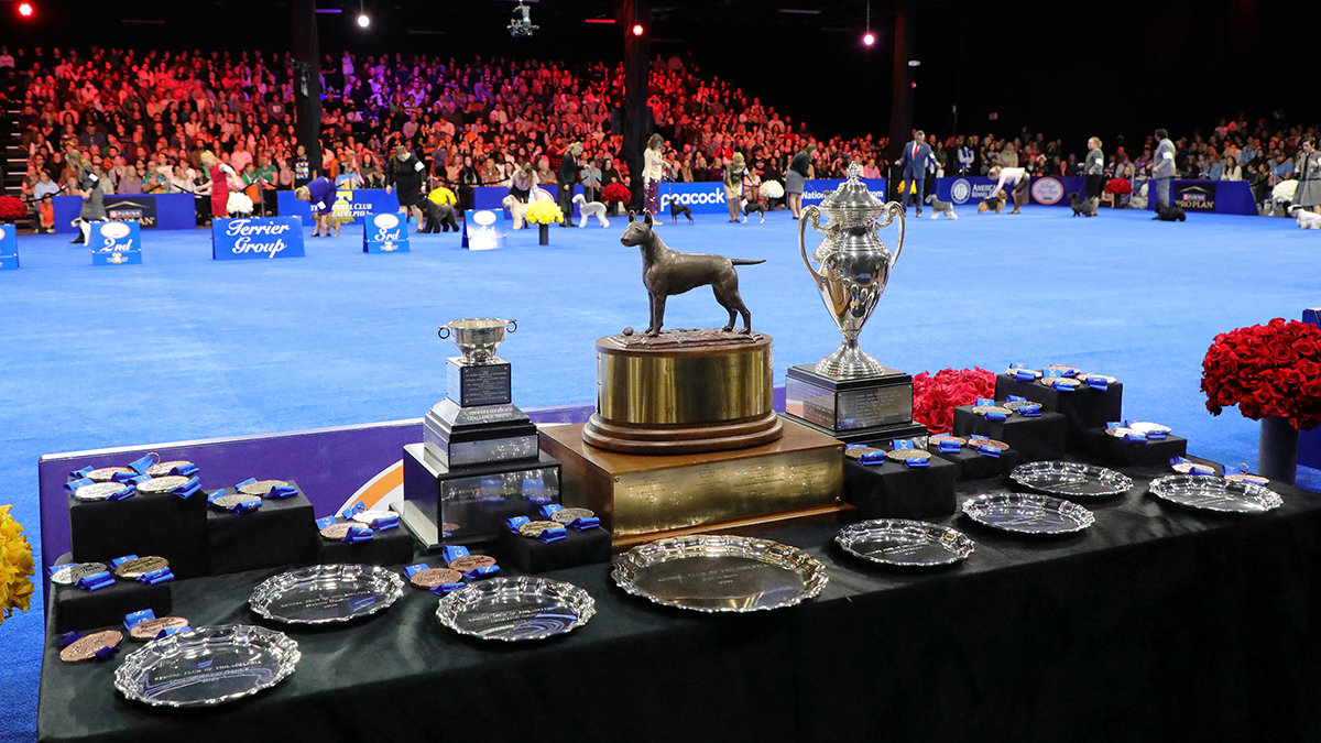 Who won the 2025 National Dog Show?