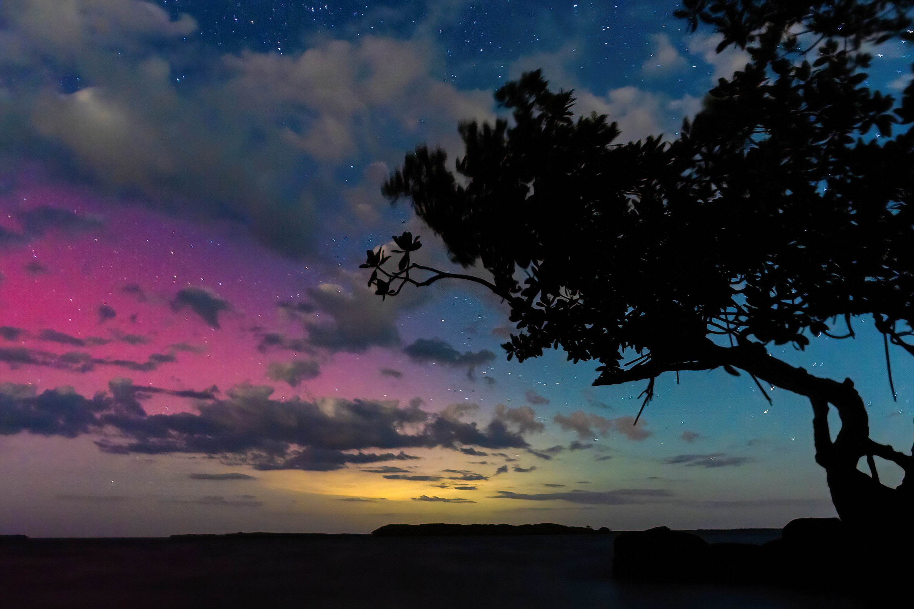 Northern Lights captivates viewers in Florida: See the dazzling images