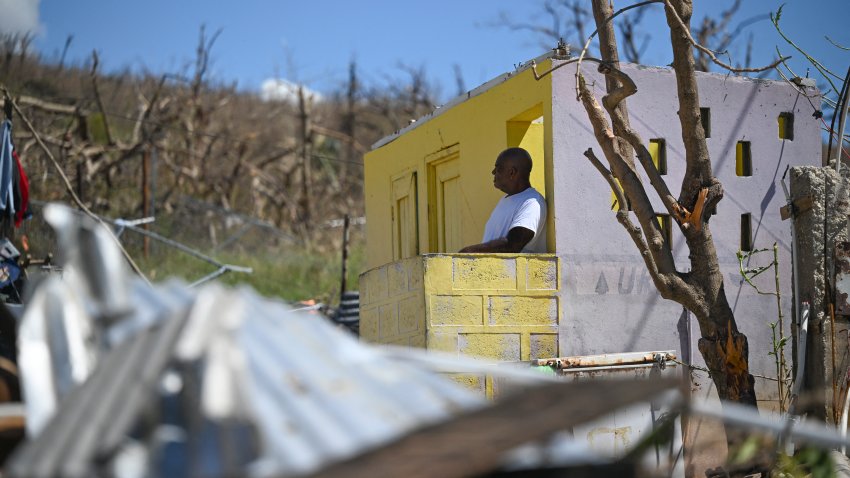 A man looks on among trees stripped of many branches by Hurricane Melissa in Westmoreland, Jamaica, on November 2, 2025. Planes and helicopters carrying humanitarian aid headed to Jamaica on October 31, three days after Melissa slammed into the island nation and killed at least 19 people.
Information Minister Dana Morris Dixon told a briefing that authorities had “quite credible” reports of possibly five additional deaths but had not yet been able to confirm. (Photo by Ricardo Makyn / AFP) (Photo by RICARDO MAKYN/AFP via Getty Images)