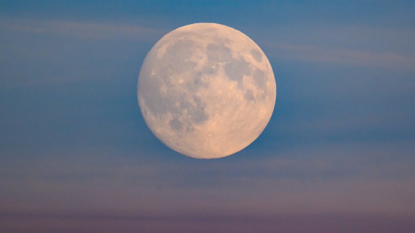 04 November 2025, Brandenburg, Biegen: The moon, which is about 99 percent visible and waxing, shines in the sky. On Wednesday evening (05.11.2025), the largest full moon of the year can be seen over Germany – a so-called supermoon. According to the Association of Astronomers (VDS), the moon will then appear particularly large because it will only be around 356,400 kilometers away from the Earth at 11.16 pm. At other times, the moon is more than 400,000 kilometers away from the Earth. Photo: Patrick Pleul/dpa (Photo by Patrick Pleul/picture alliance via Getty Images)