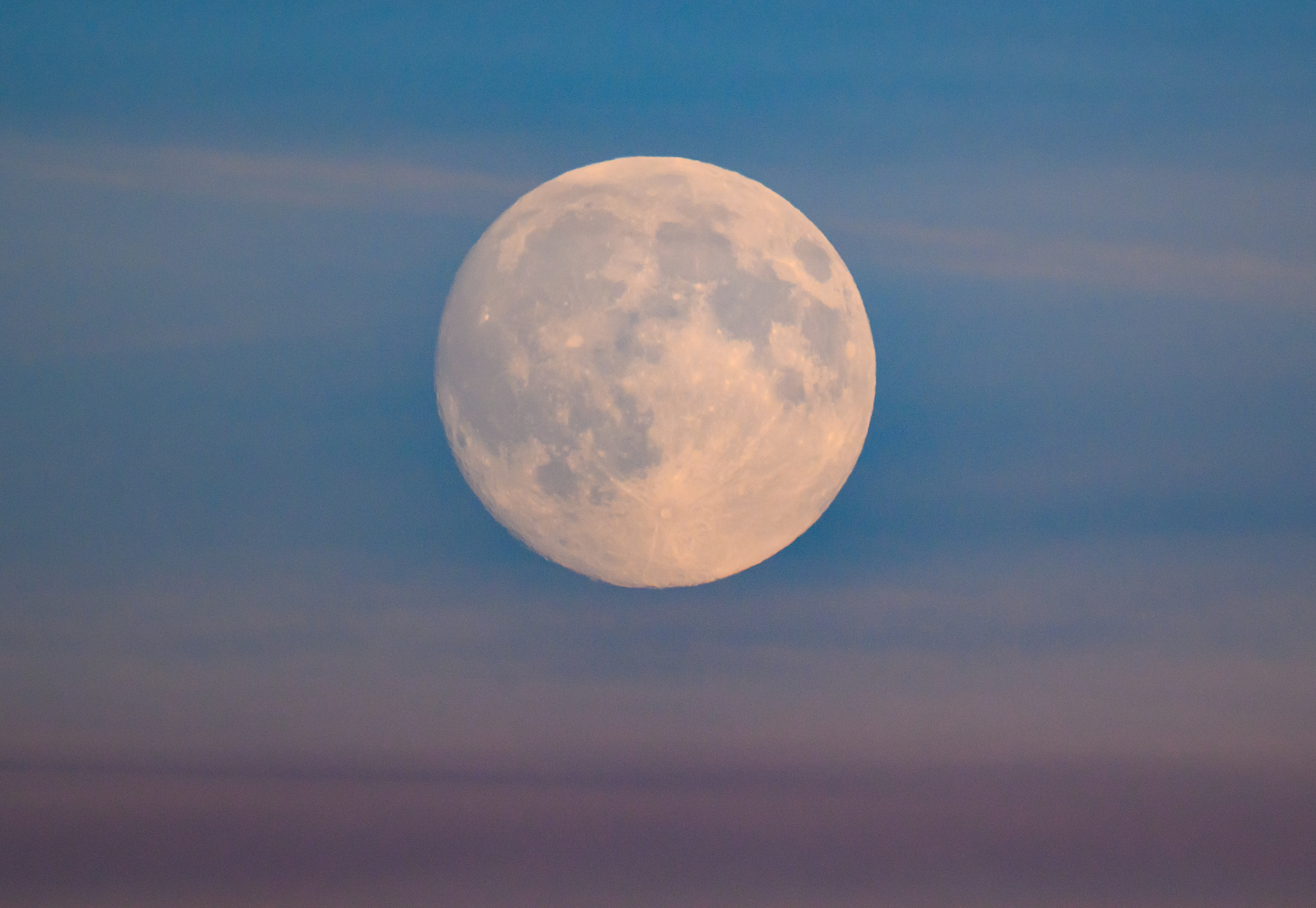 November supermoon also brings king tides to South Florida: What to know