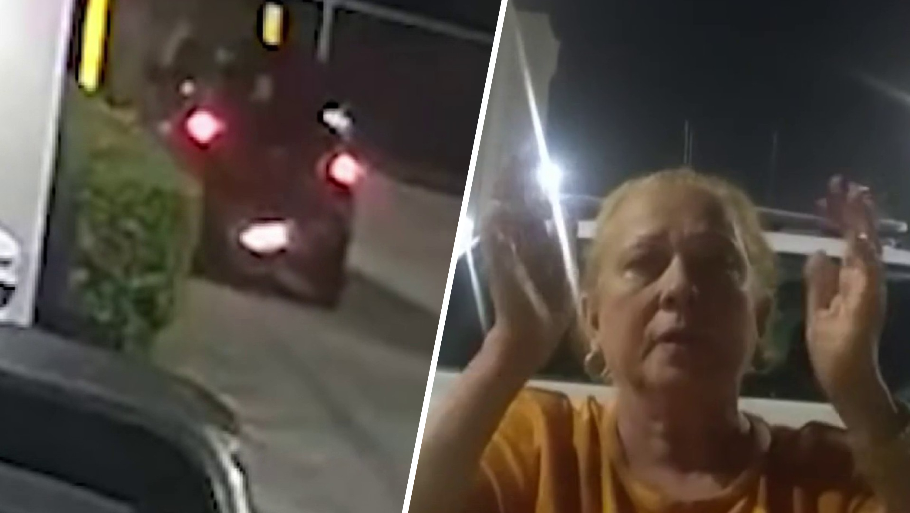 Hialeah Gardens woman, 73, avoids prison in 2024 DUI crash into lake that killed friend