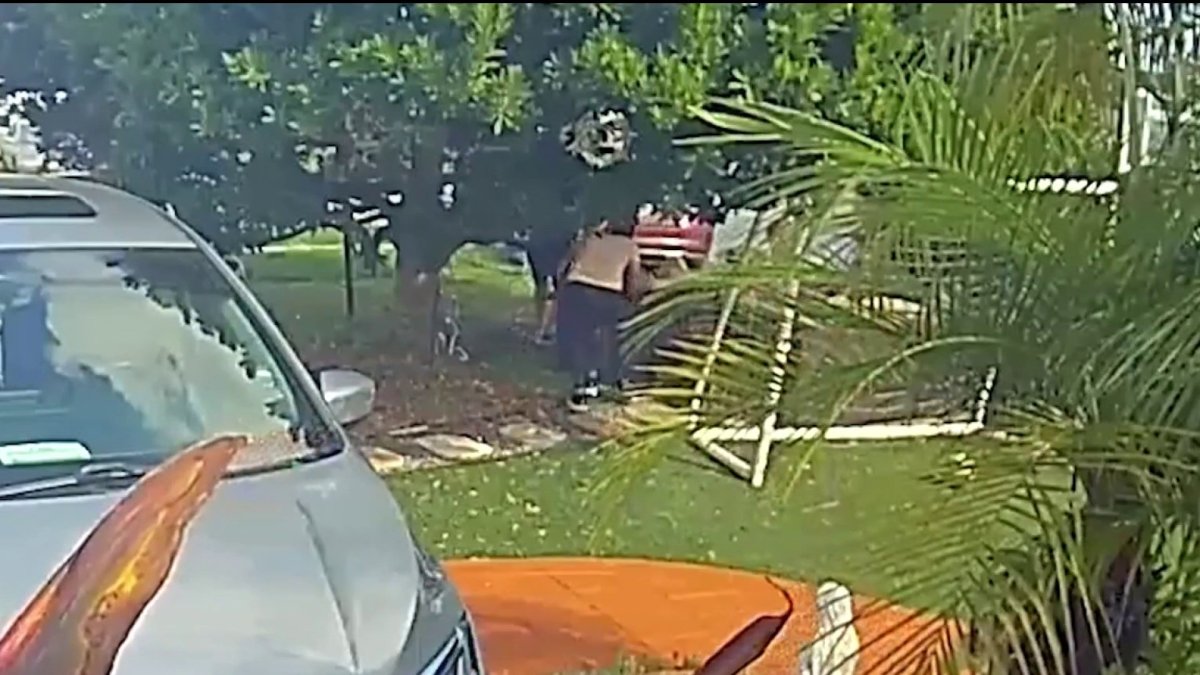 Police are looking for a Grinch who stole Christmas decorations from a family in North Miami Beach in a brazen theft caught on camera.
