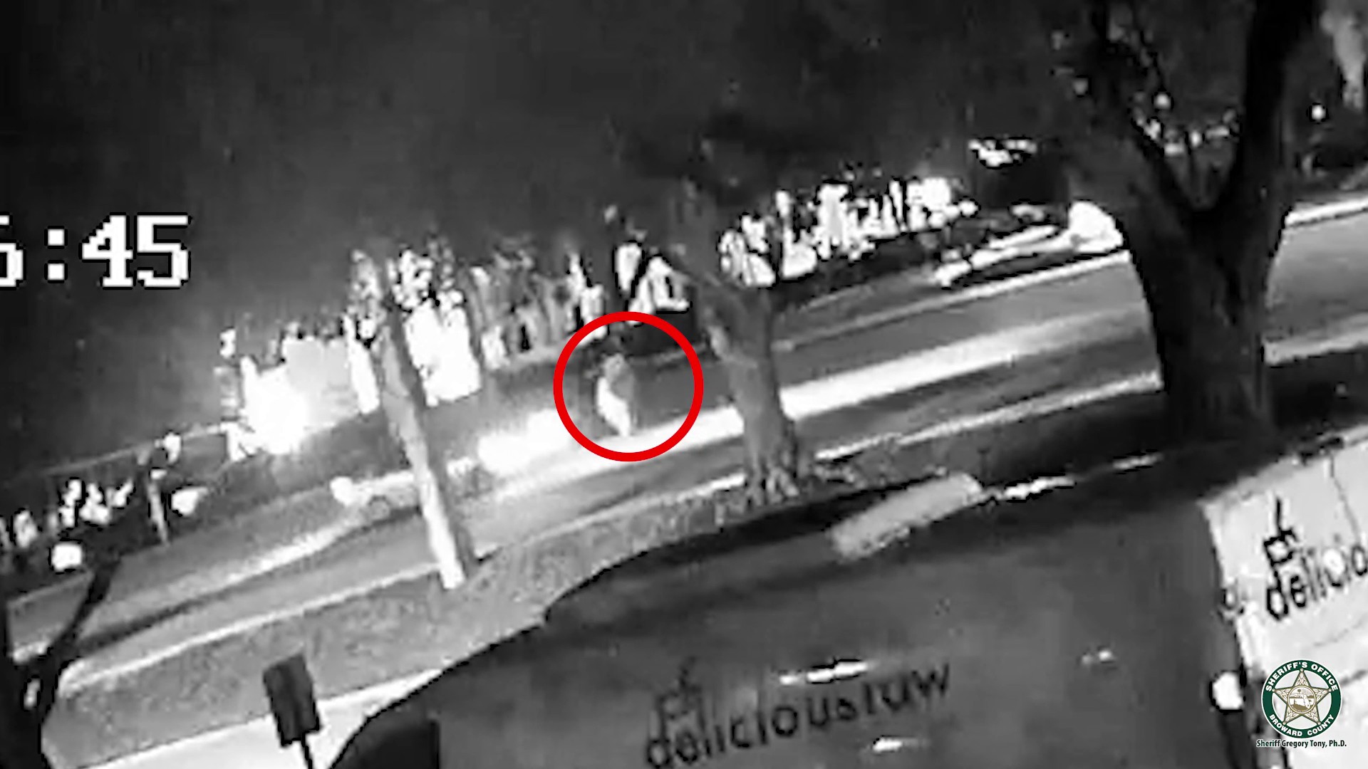 Surveillance video shows hit-and-run driver checking on victim, driving away in Tamarac