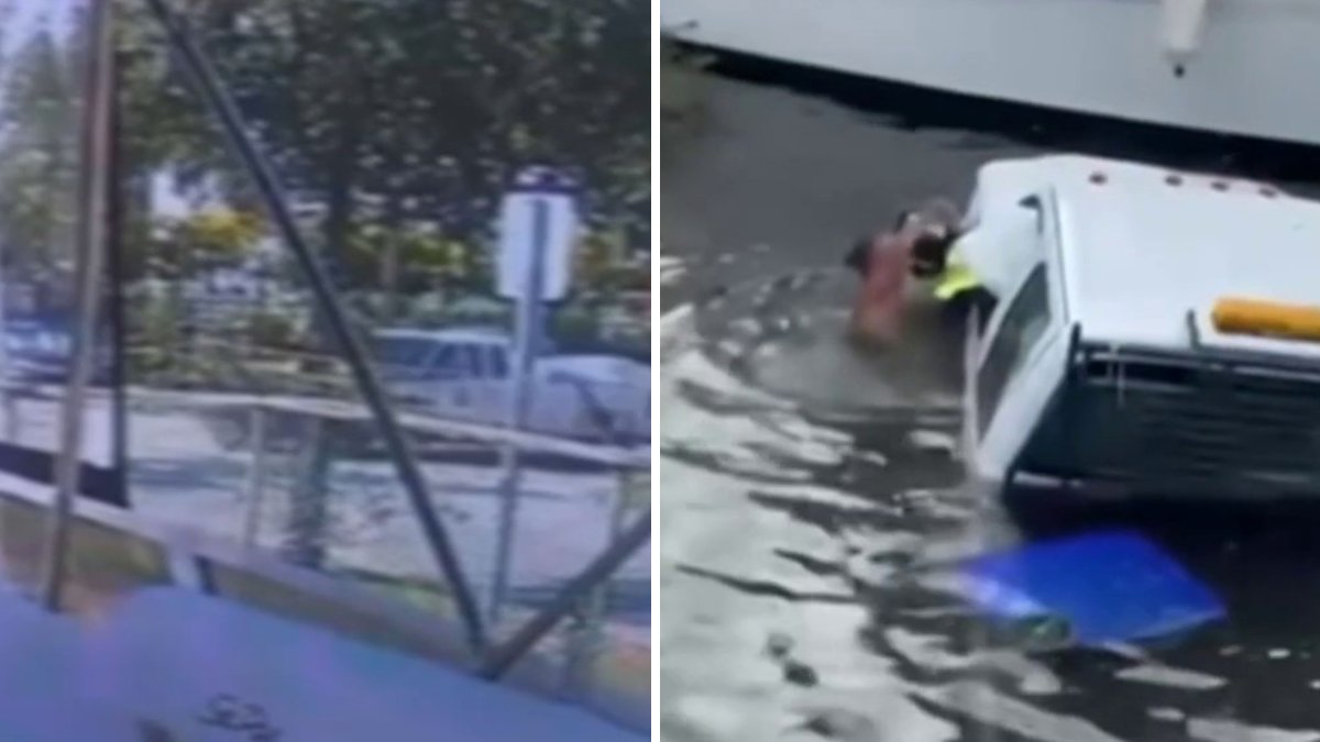 Surveillance video captures the moment a pick-up truck barrels through the fence of a Miami marina, knocking down a tree, and then hitting another boat before...