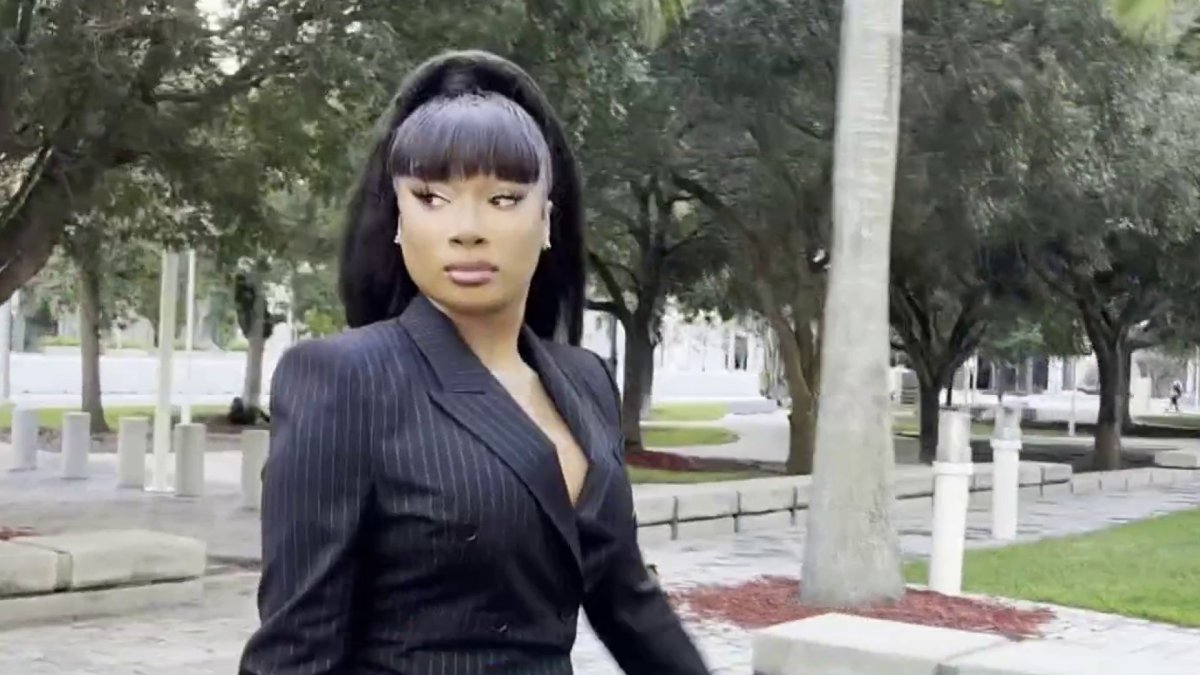 Megan Thee Stallion wins partial victory but little damages in lawsuit against blogger