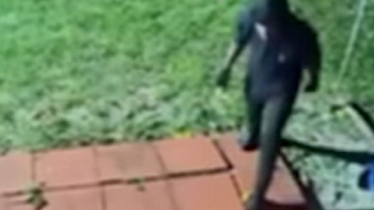 Man caught on camera breaking into jeweler’s North Miami Beach home ...