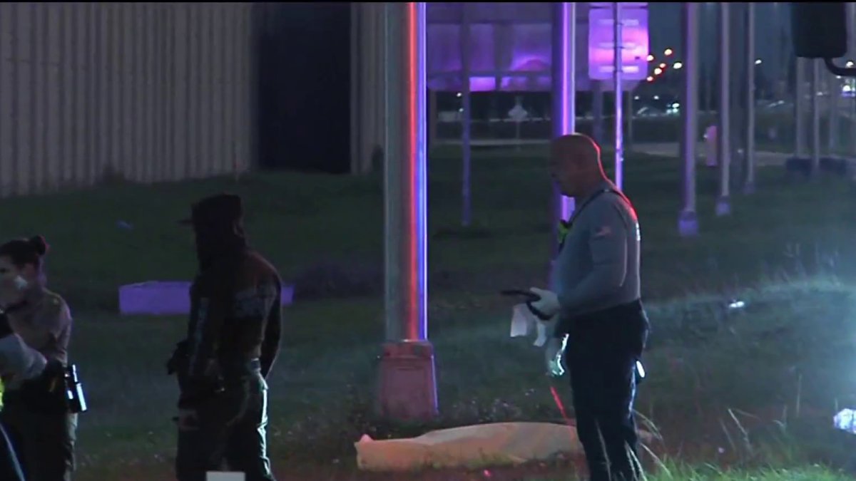Pedestrian killed after being struck by tractor-trailer on Florida’s ...