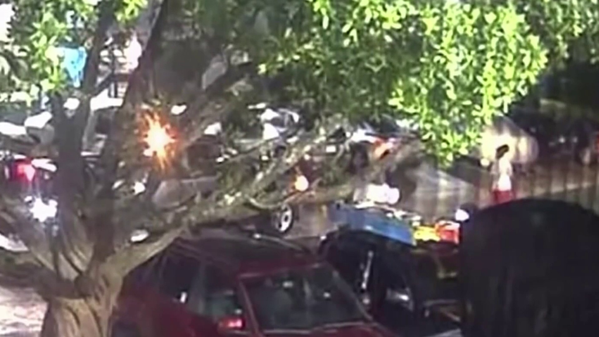 Video shows tense moments before woman fatally shot on Christmas night in Lauderhill