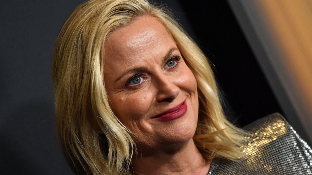 Amy Poehler got into a fight on a plane for swearing near a baby