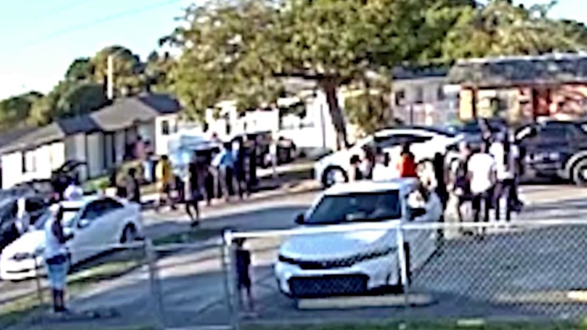 Video shows altercation between 2 officers and suspect in Hallandale ...