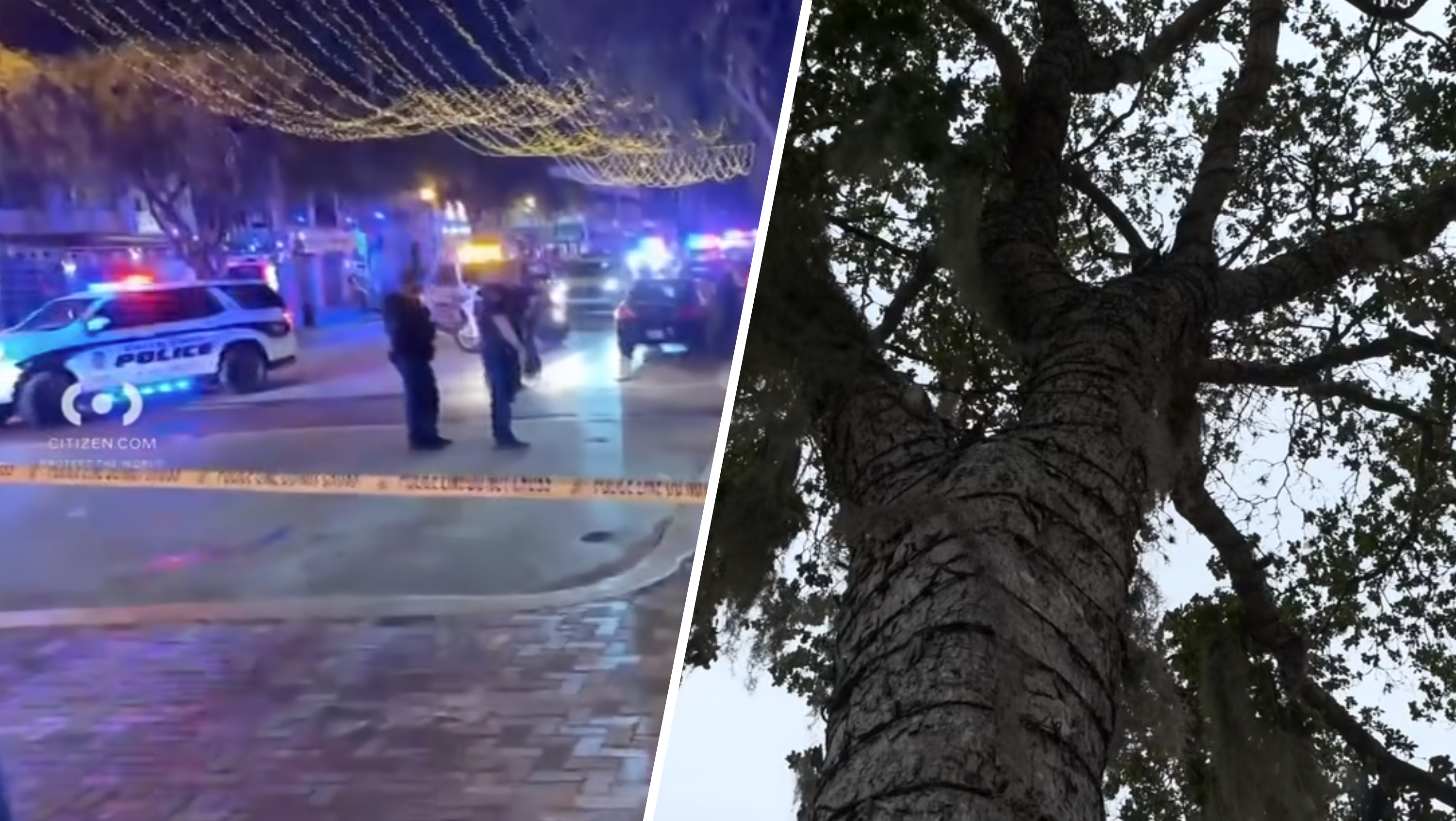 Fort Lauderdale gets tough on open containers; Las Olas to get facelift without black olive trees