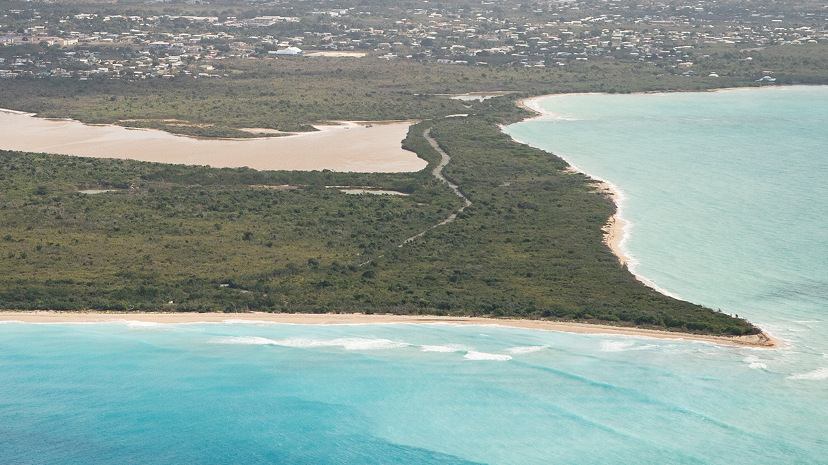 American woman attacked and killed by shark in U.S. Virgin Islands