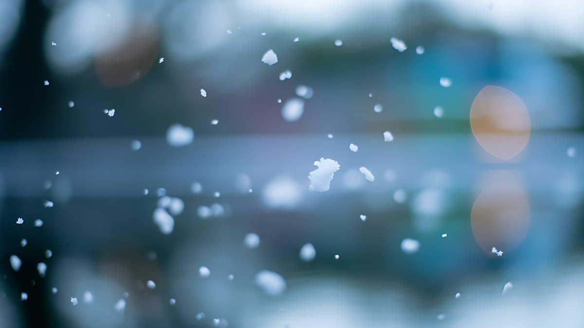 Snow flurries seen from Tampa to Tallahassee as extreme cold hits Florida