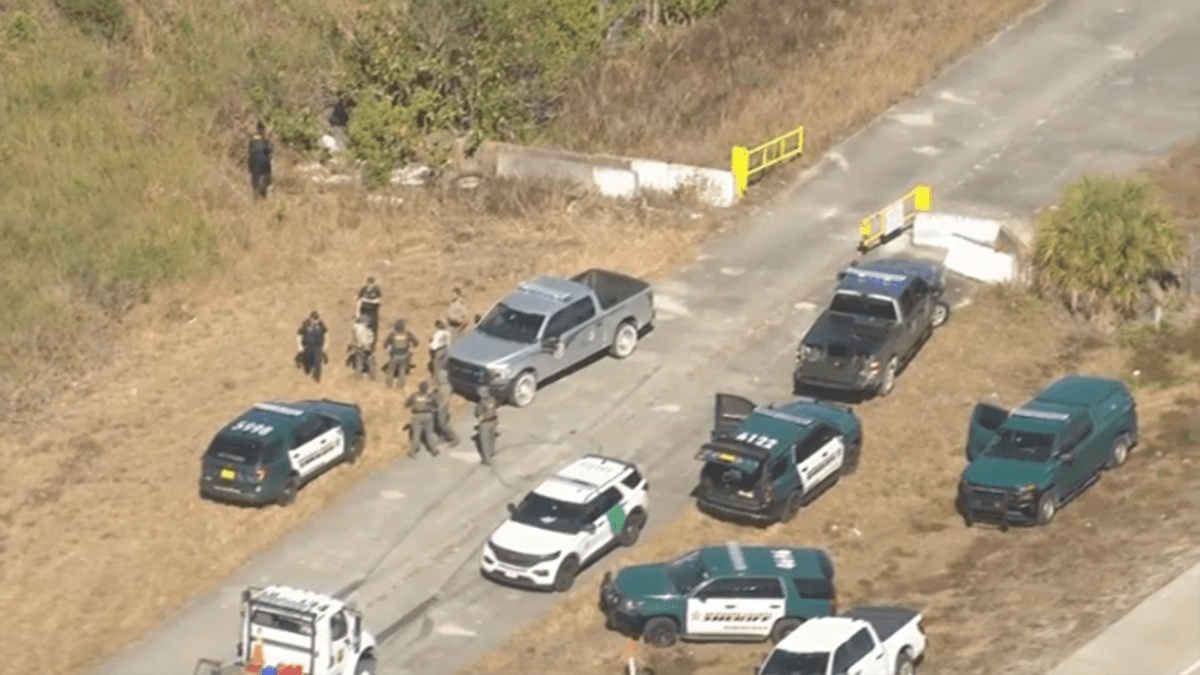 Video shows large law enforcement operation involving CBP in western Broward