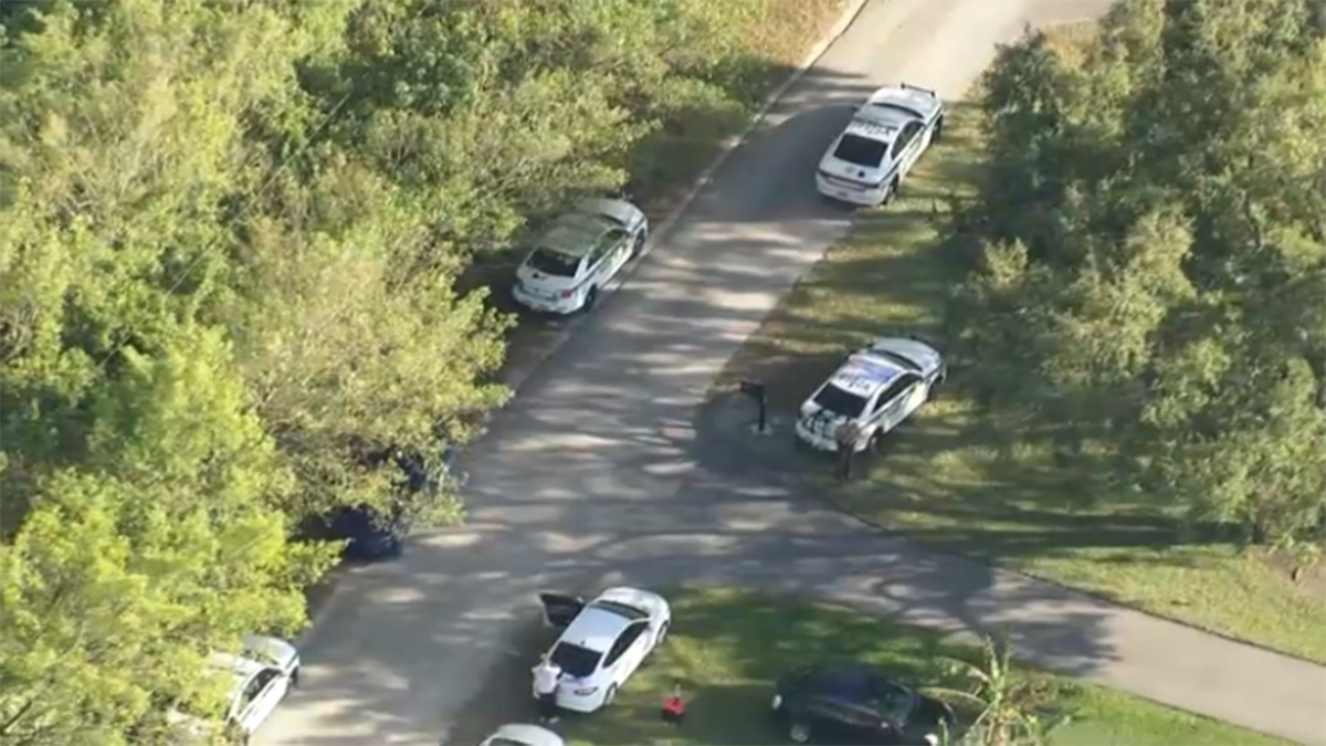 Miami-Dade deputies shoot dogs that attacked a man: Officials