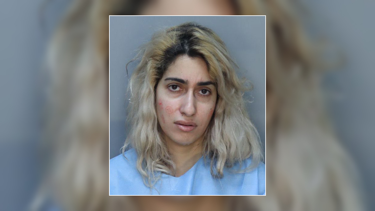 Miami mom found nude on street with young daughter faces child neglect ...