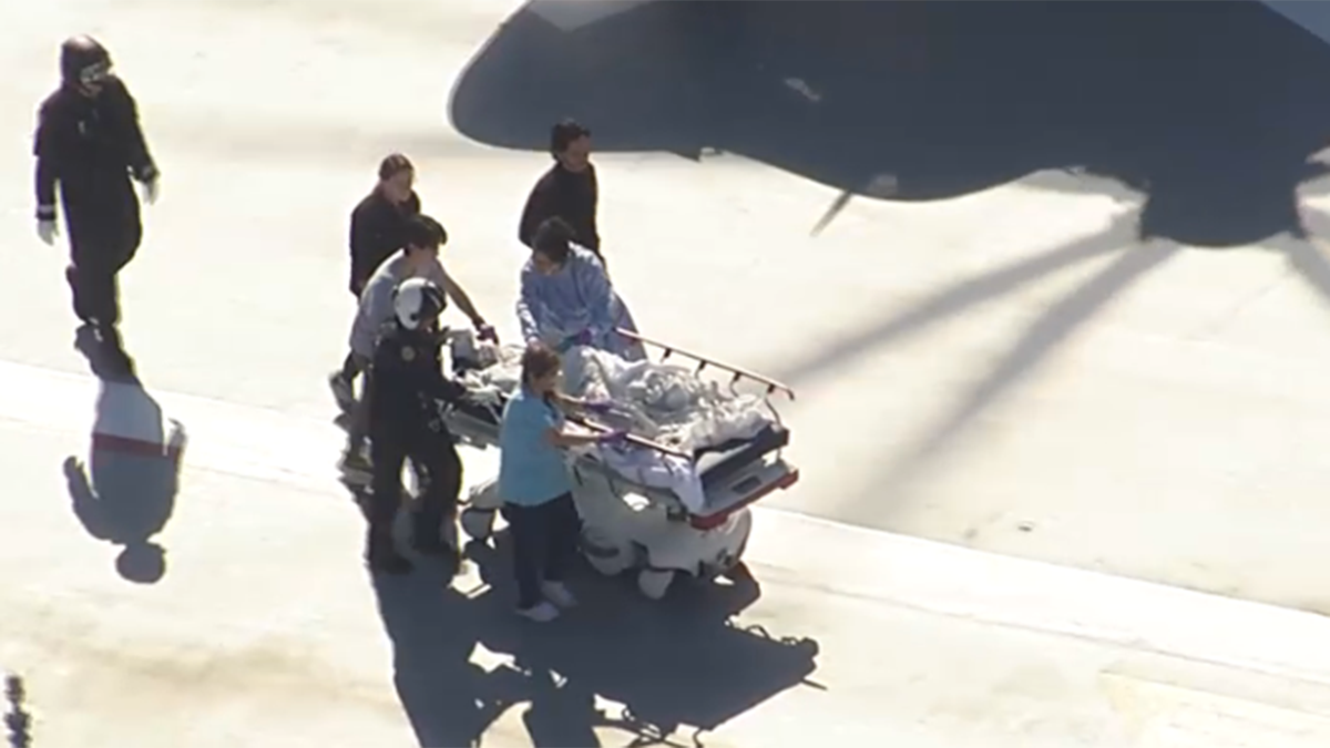 Dog euthanized after mauling 1-year-old in Hallandale Beach: Officials