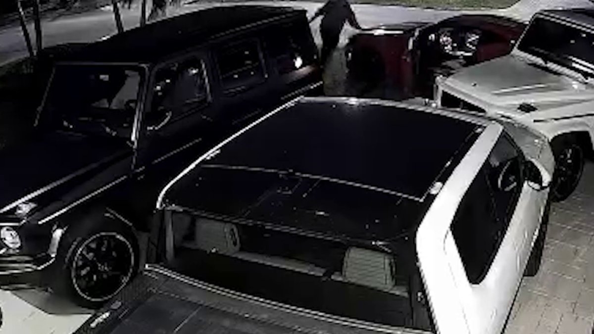 The Miami-Dade Sheriff’s Office said they responded to reports of a hit-and-run at 18701 West Oakmont Drive.