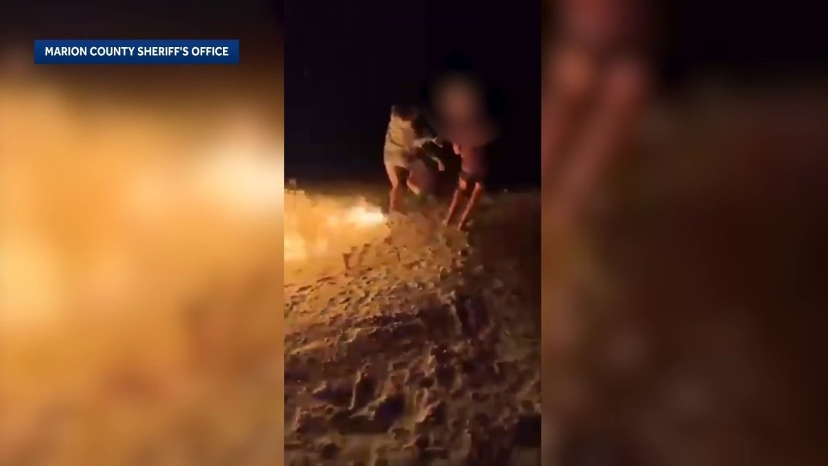 Florida teen seen on video setting other teen on fire with gasoline ...