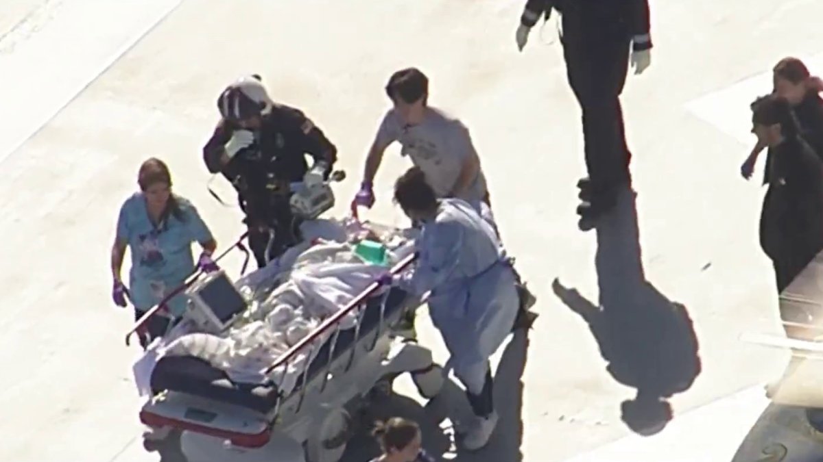 1-year-old hospitalized after being attacked by family dog in ...
