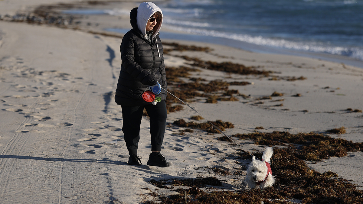 Monday morning featured record-setting temperatures in Fort Lauderdale and Key West for the date -- meaning it's the coldest Feb. 2 we've had since we started...
